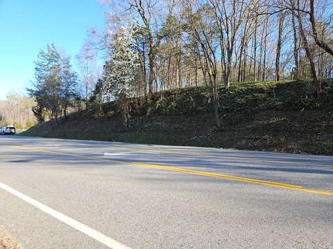 Commercial Land in Farmville, VA