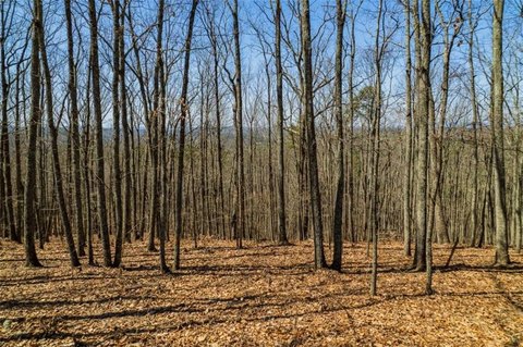 Land in Forrest Creek Community