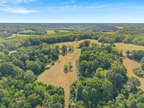 Land, Rogersville, MO