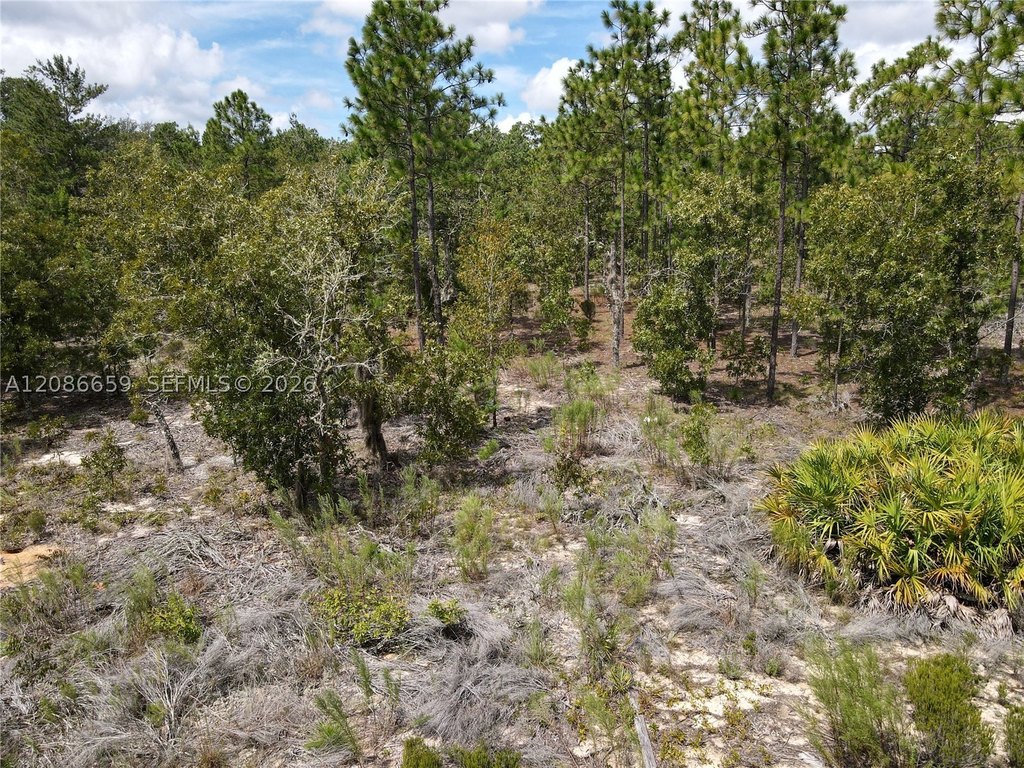 Picture 27