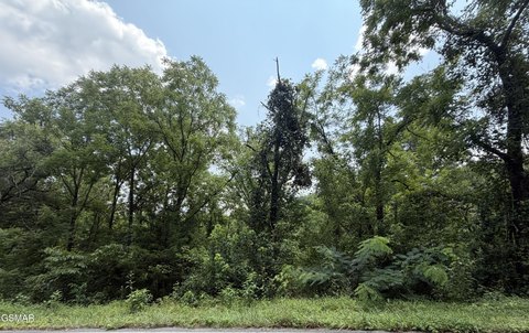 LAND - Sevierville, TN