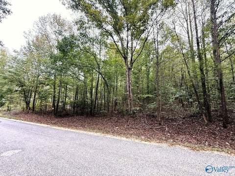 Land, Attalla, AL