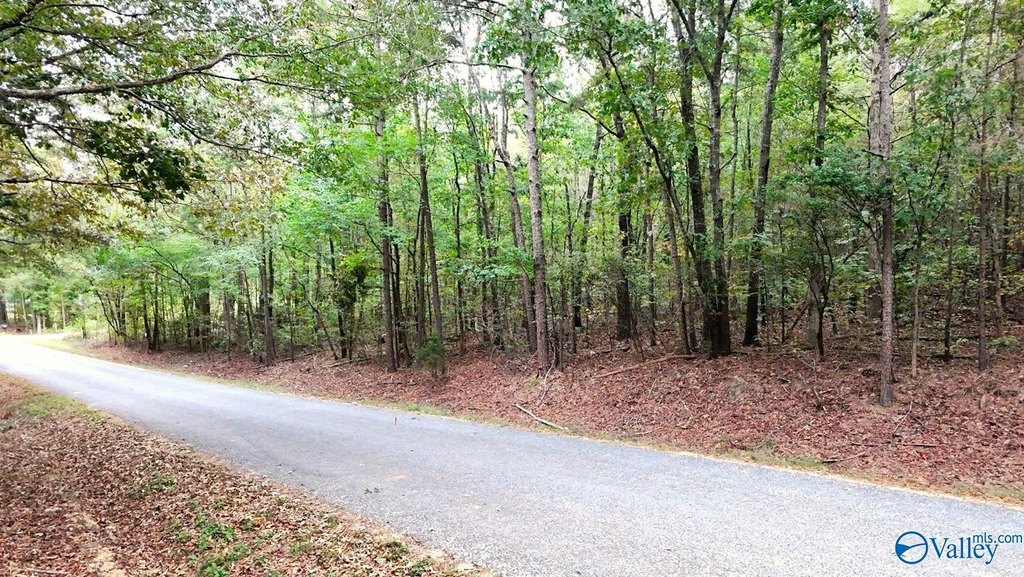 Picture 16