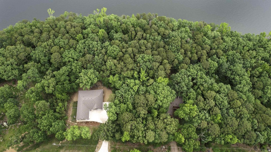 Picture 16