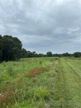 45 Acres Hunting and Timberland
