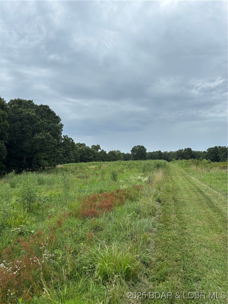 45 Acres Hunting & Timberland