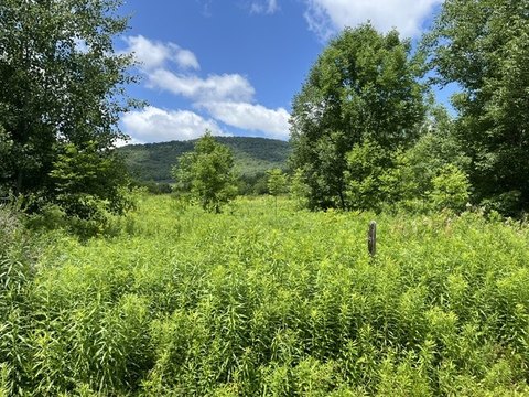 Corner Agricultural Land with Mountain Views