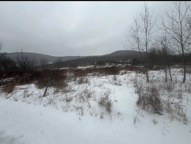 Land with Mountain Views