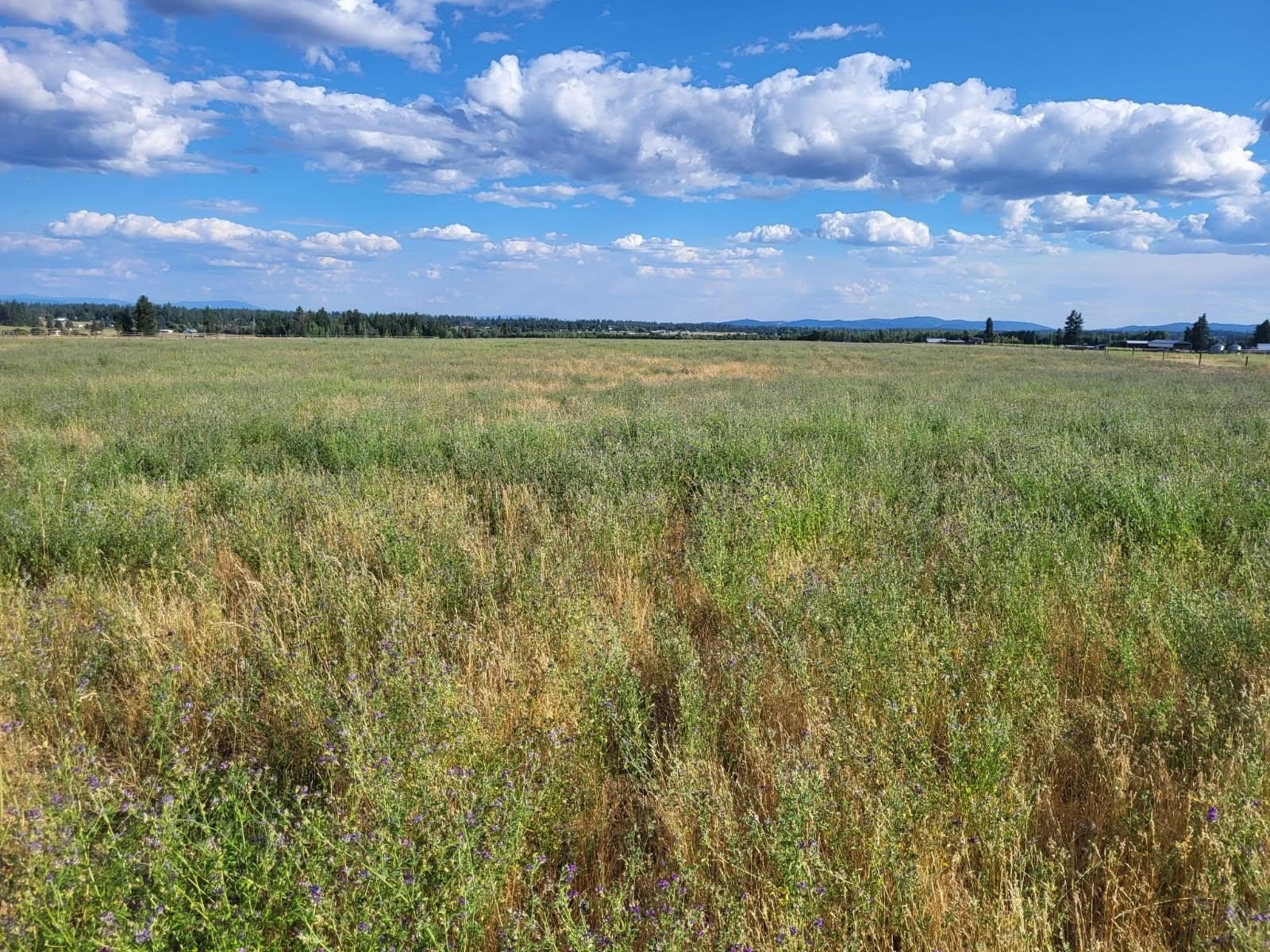 Deer Park Land with Views