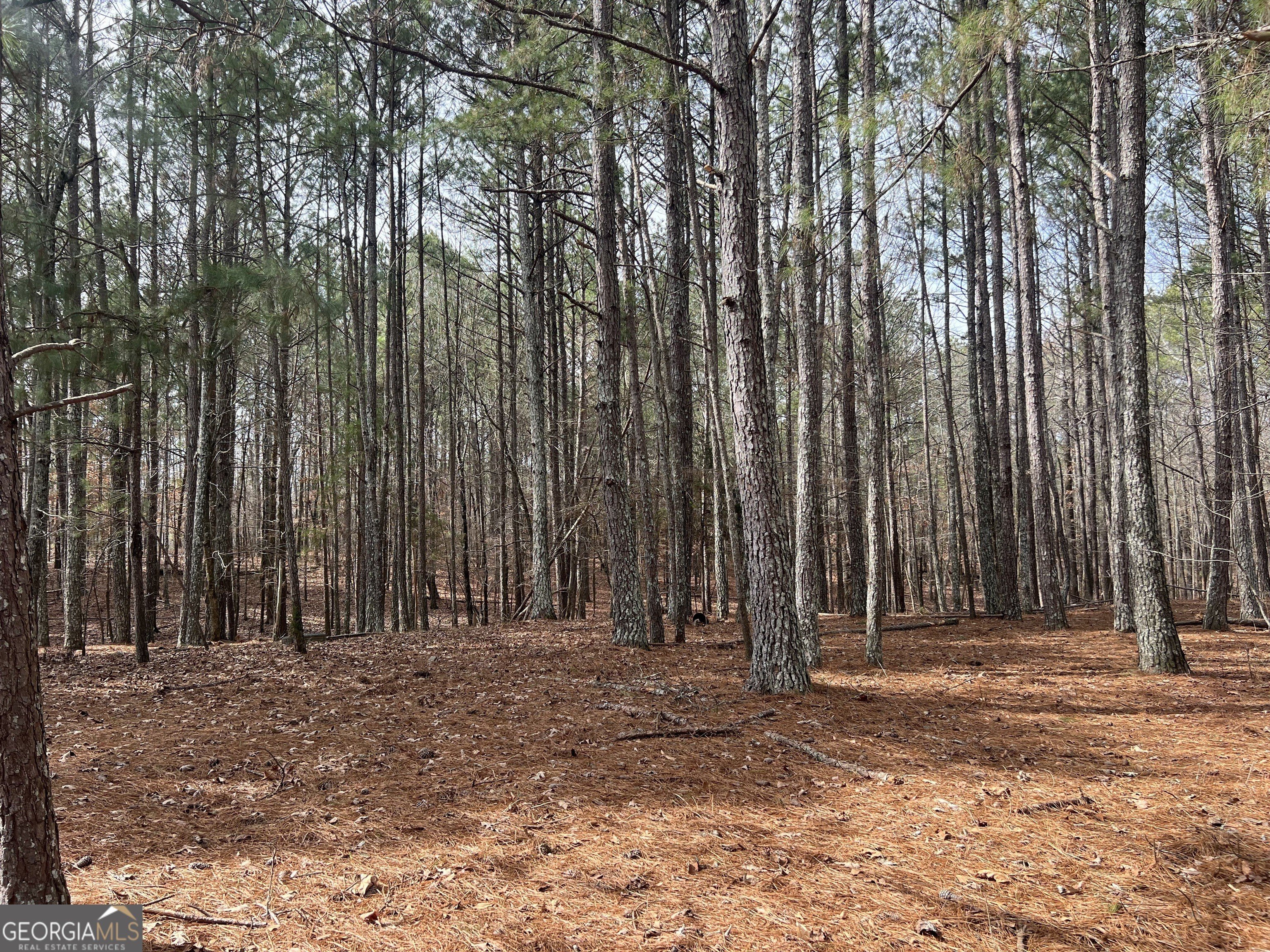 35 Acres in Calhoun, GA