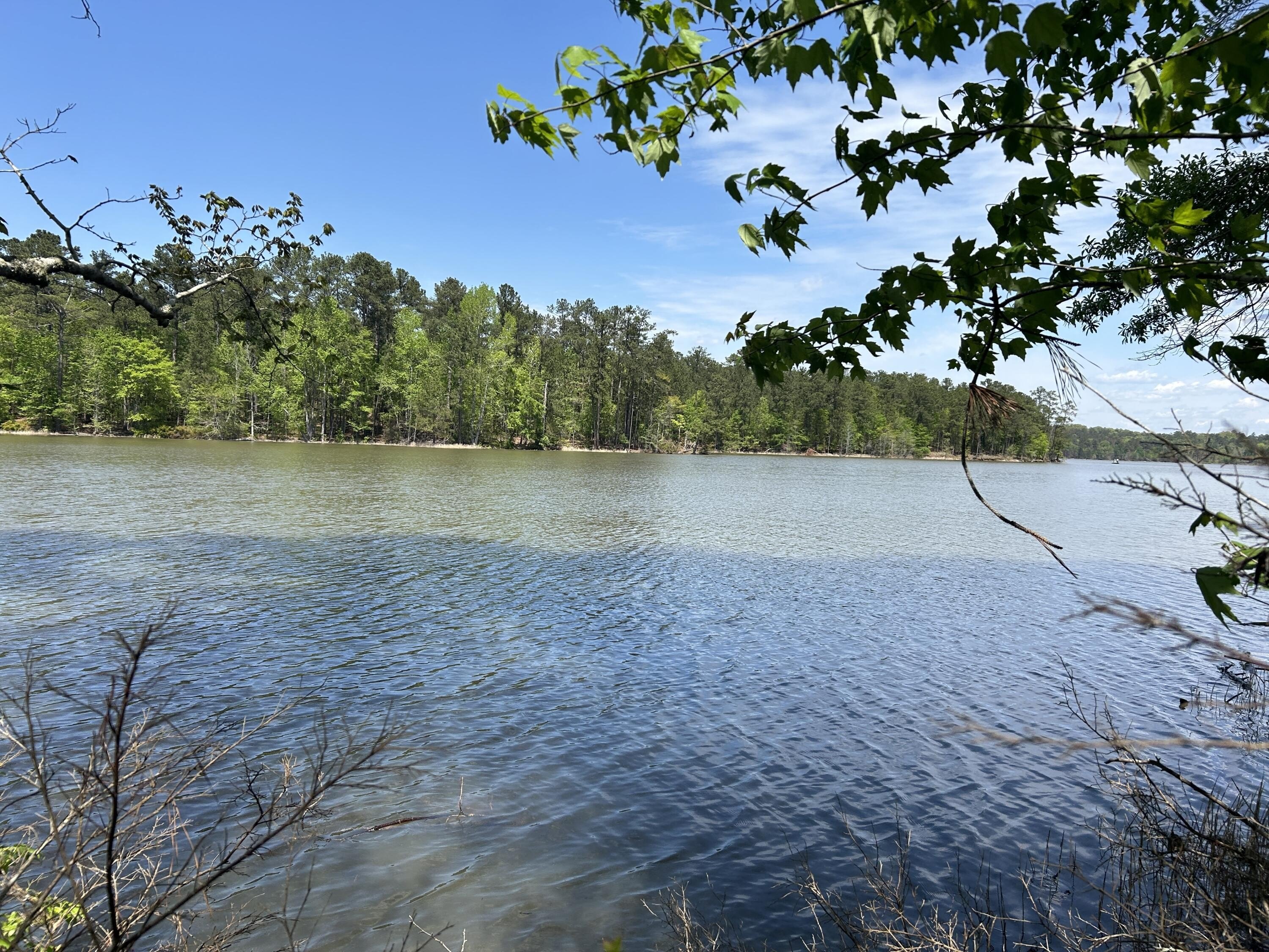 Waterfront Land on Clarks Hill