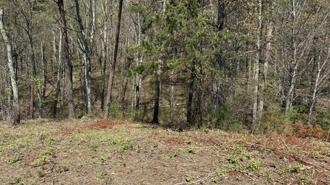 Lakefront Lot in Gated Community