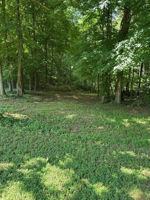 Picture 15
