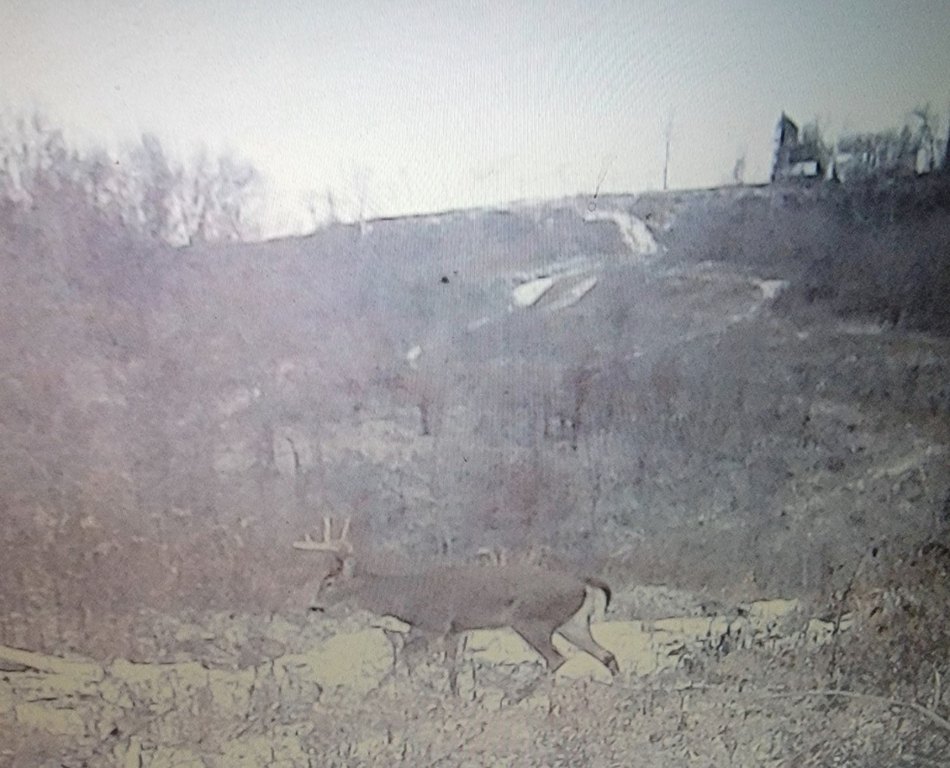 Picture 46