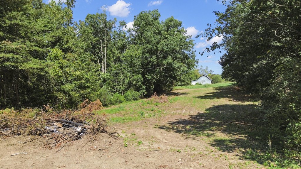 Picture 32