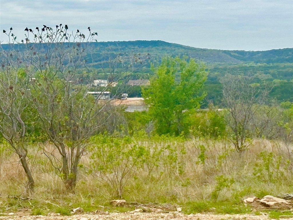 Picture 21
