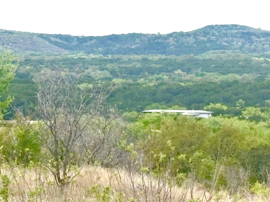 Picture 23