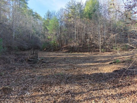 LAND - Old Fort, TN