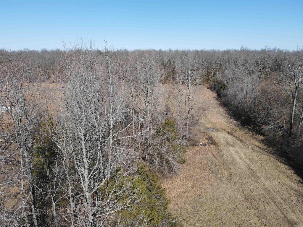 Picture 18