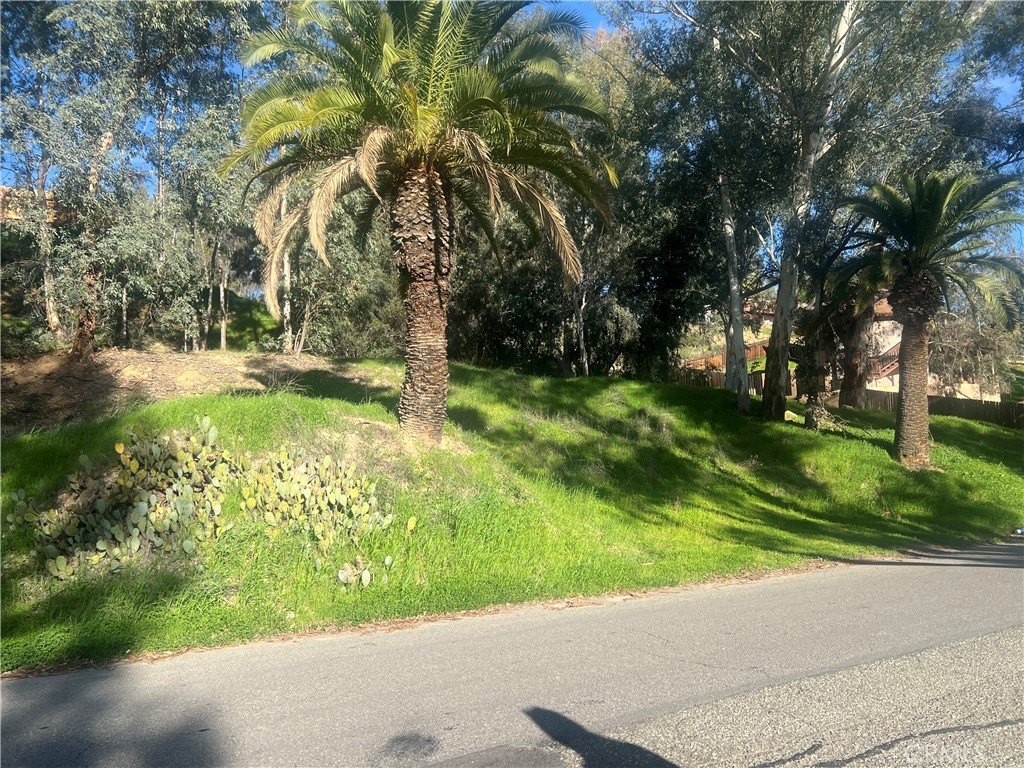 Picture 2