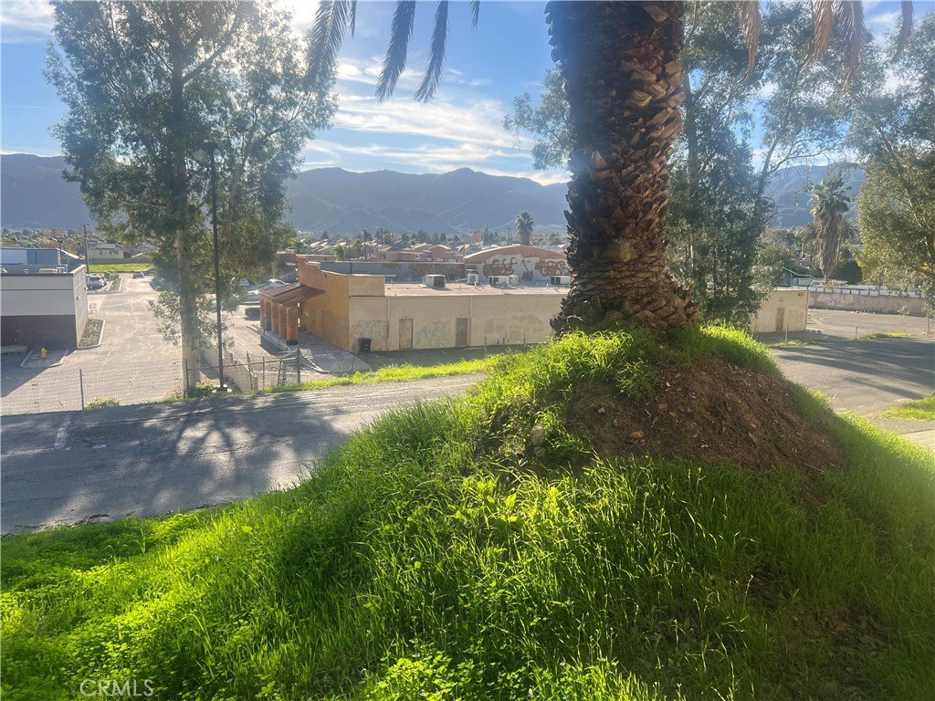Picture 5