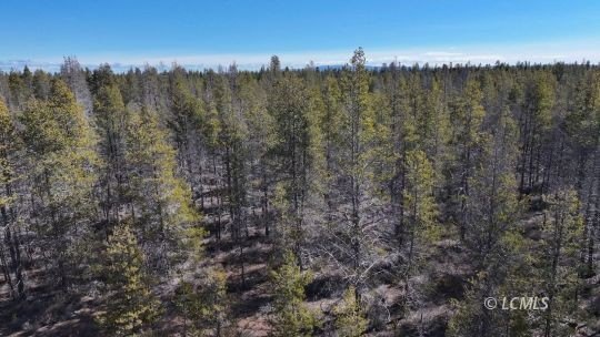 Buildable Treed Lot in Chiloquin
