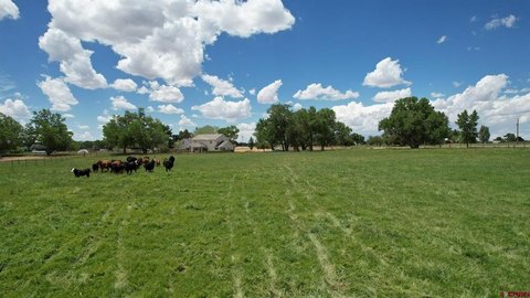 Irrigated, Fully Fenced Acreage