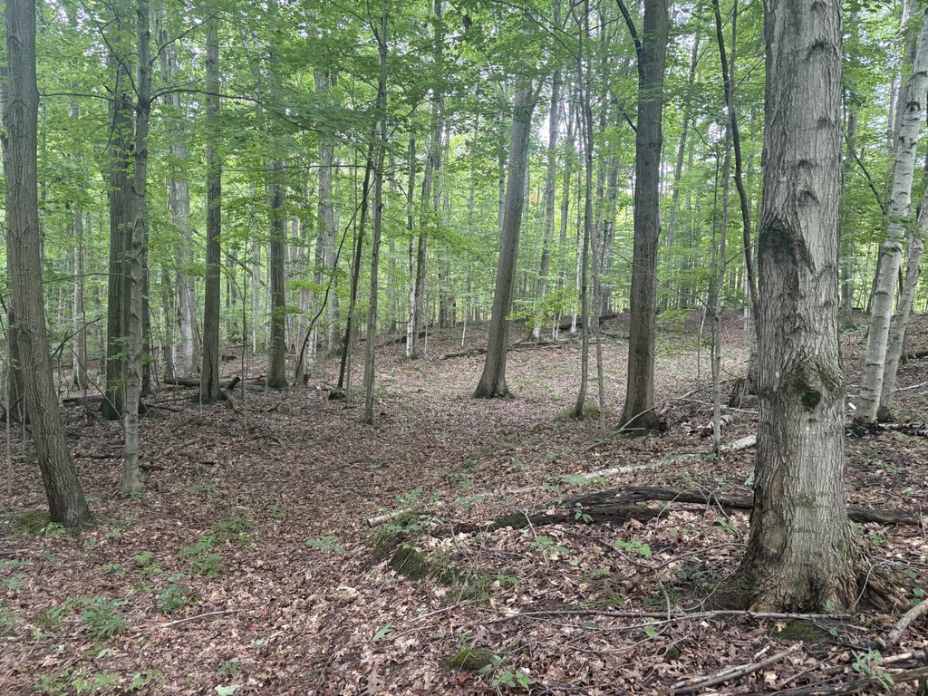 Picture 3