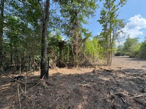 Unrestricted Timber Land in Timpson