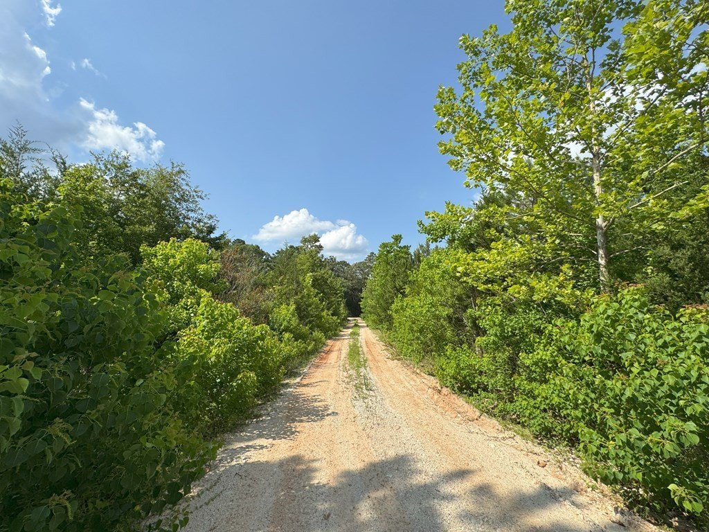 Picture 6