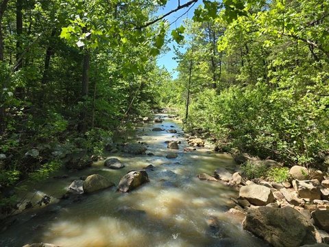 Wooded Waterfront Recreation Land