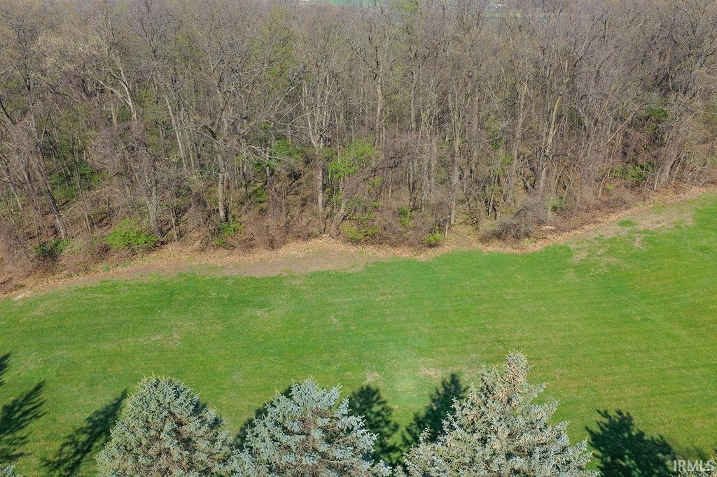 Picture 4