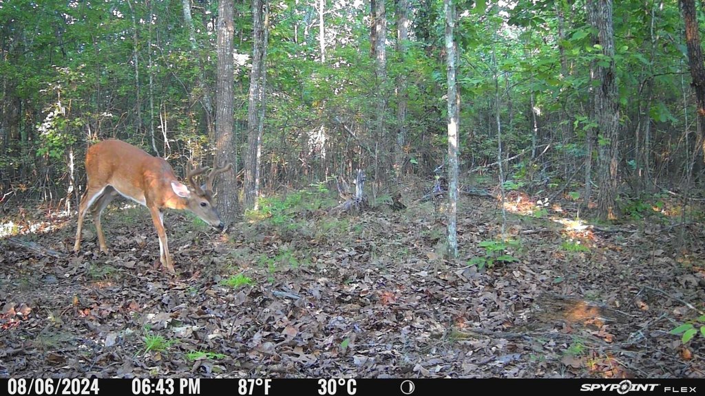Picture 3