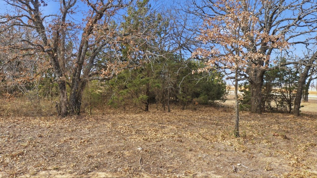 Picture 11