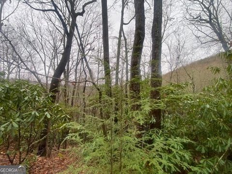 LAND - Sky Valley, GA