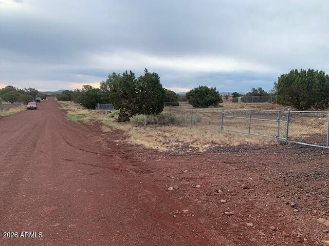 Picture 19