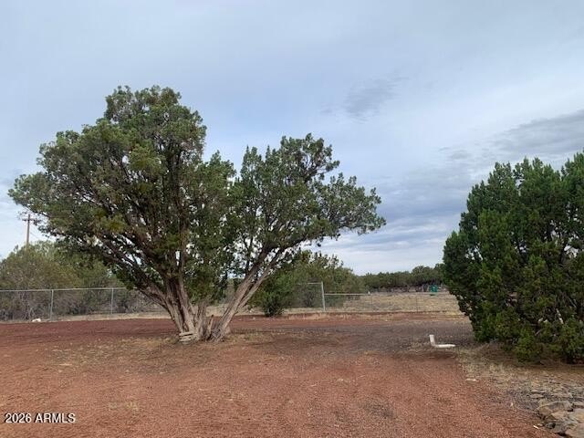 Picture 18