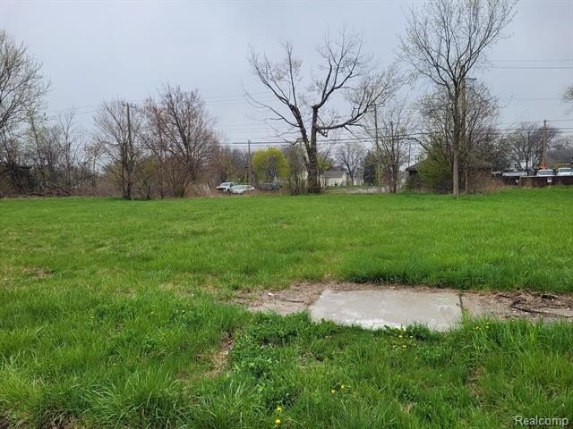Picture 2
