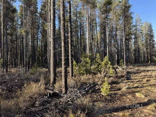 Chiloquin Acreage with Mountain Views