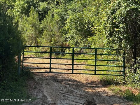 Timbered Land with Private Road