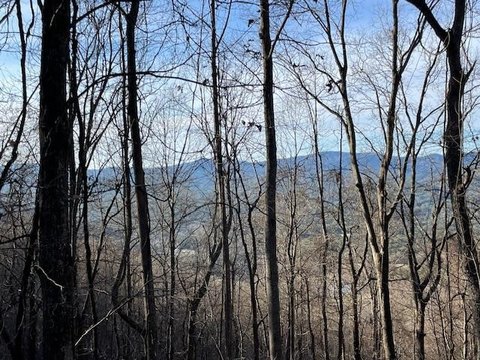 Mountain View Land in Murphy