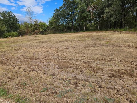 Land, Mount Vernon, TX