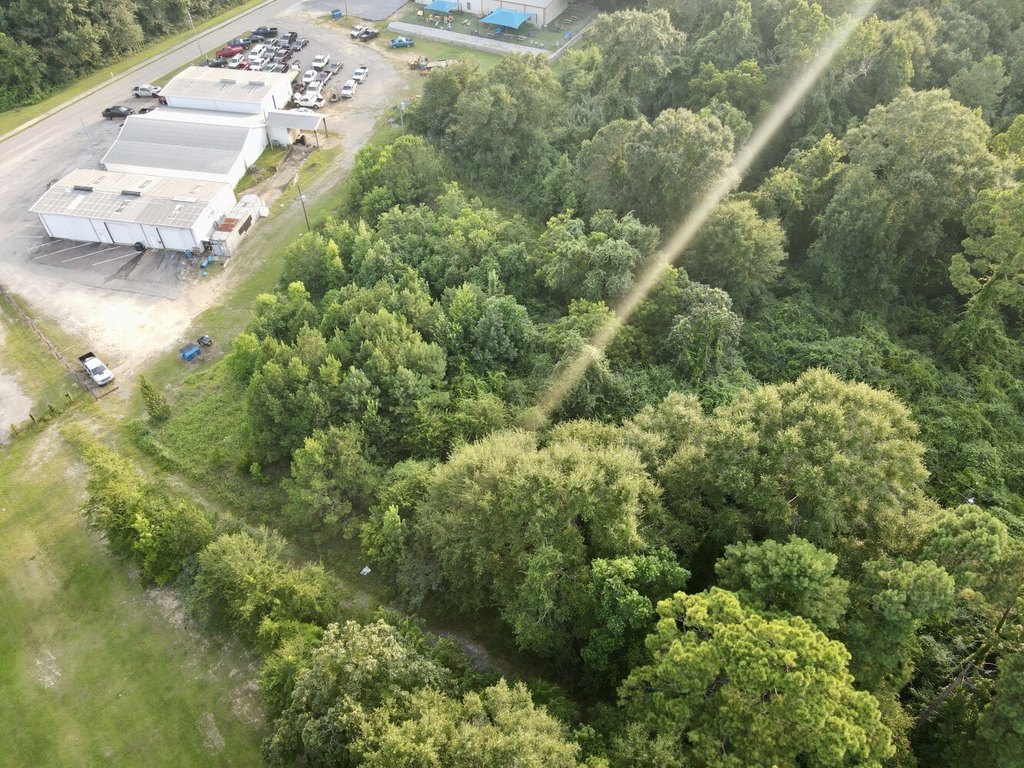 Picture 18