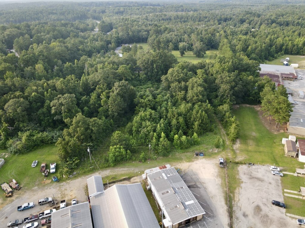 Picture 13