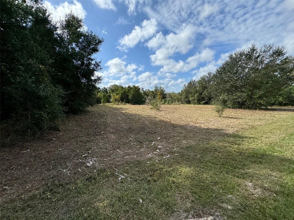 Picture 28