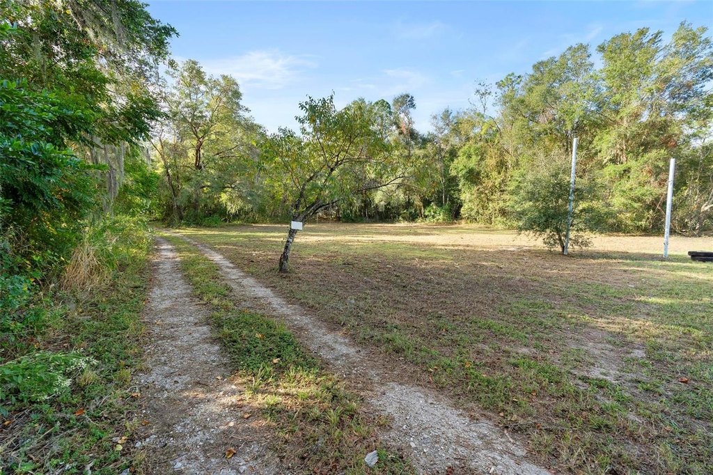 Picture 25