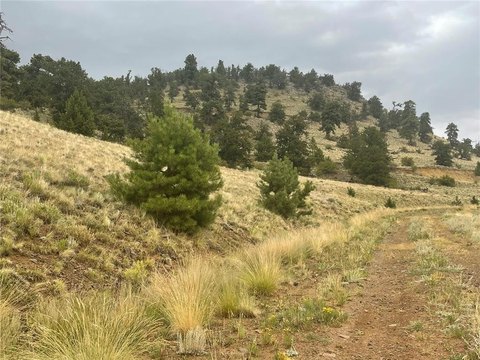 Land with Mountain Views