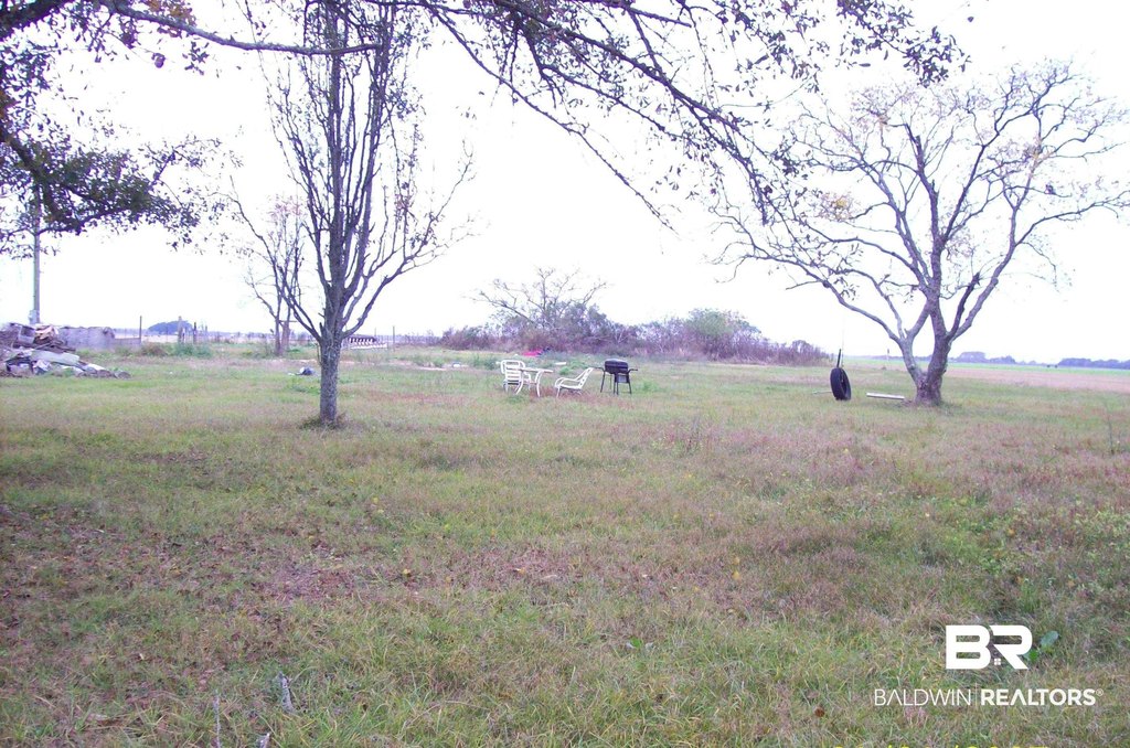 Picture 3
