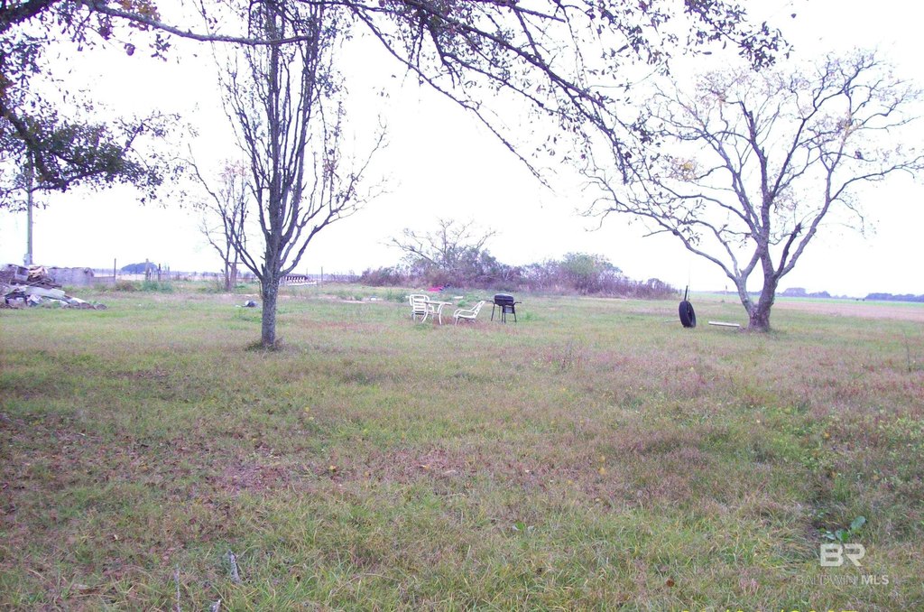 Picture 3
