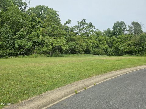 Residential Land in Greeneville, TN
